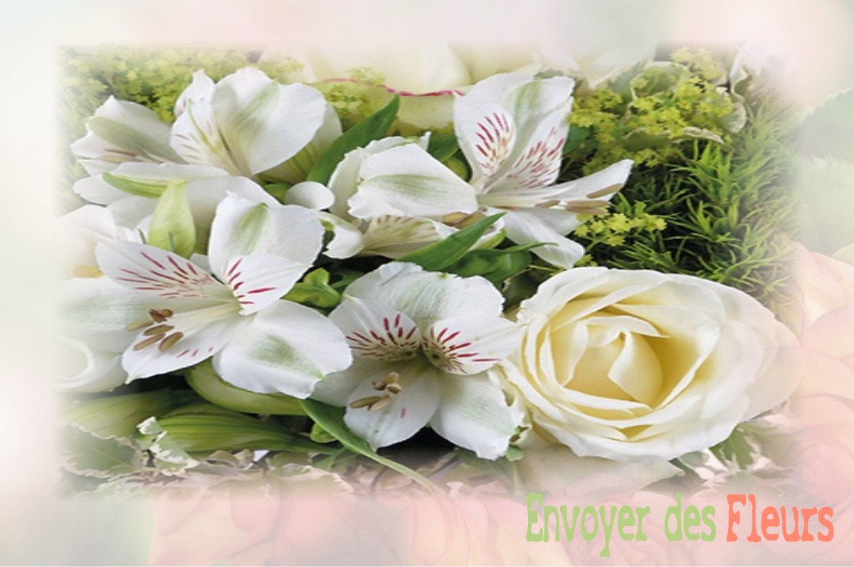 envoyer des fleurs à à VERNEUIL-EN-BOURBONNAIS